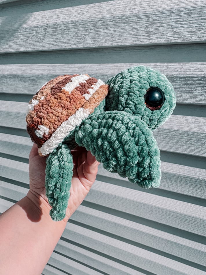 Small Turtle